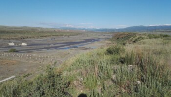 ��������VI-��Ʒ��ֵ������!